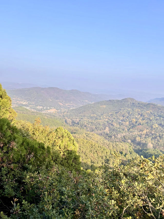 晨霧繚繞‧照金香山的紅色與蒼翠 晨霧繚繞‧照金香山的紅色與蒼翠