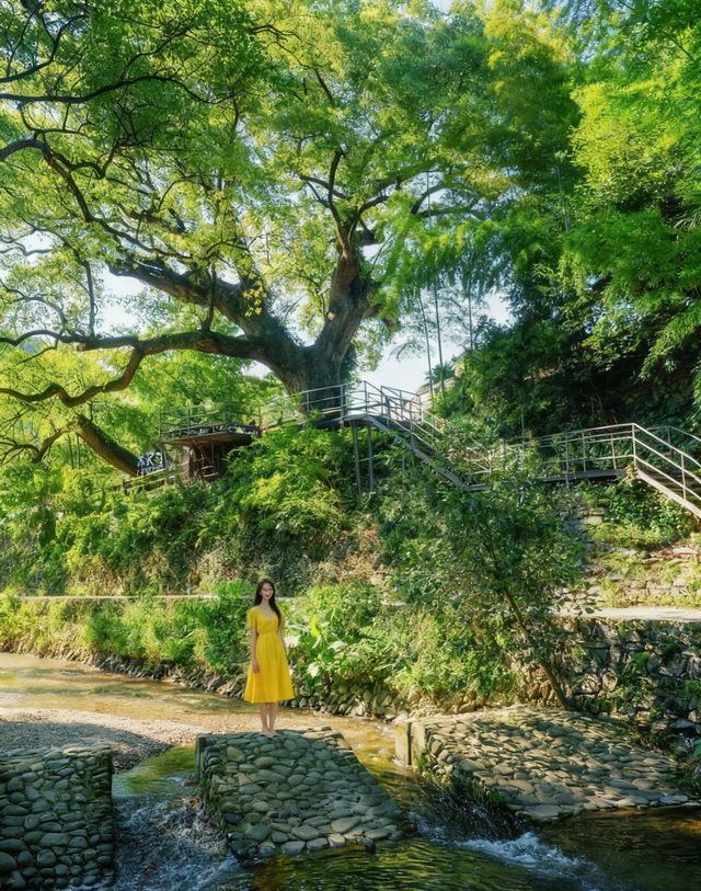 千島湖治癒系度假指南躺平首選的小眾天堂