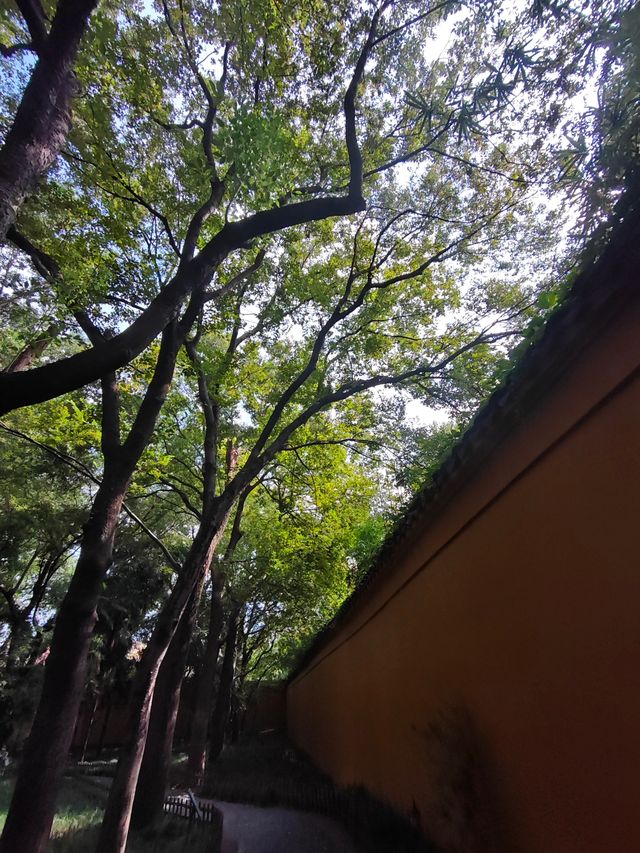 千年古剎中的禪意與閒適 千年古剎中的禪意與閒適