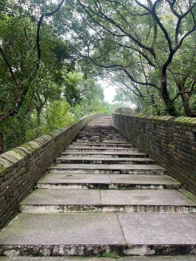「觸摸千年心跳：在臨海江南長城，與歷史撞個滿懷」——國慶前夕