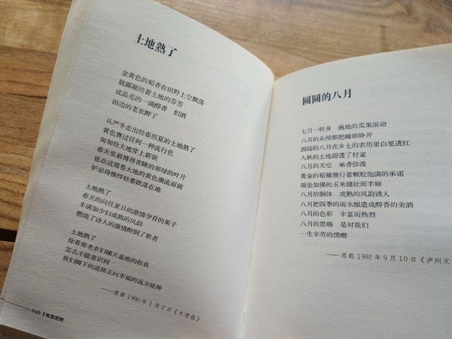 沙溪日常