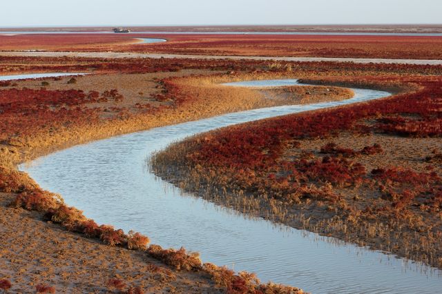 【震撼！你知道東營不僅是油城，更是「黃河的後花園」嗎？】