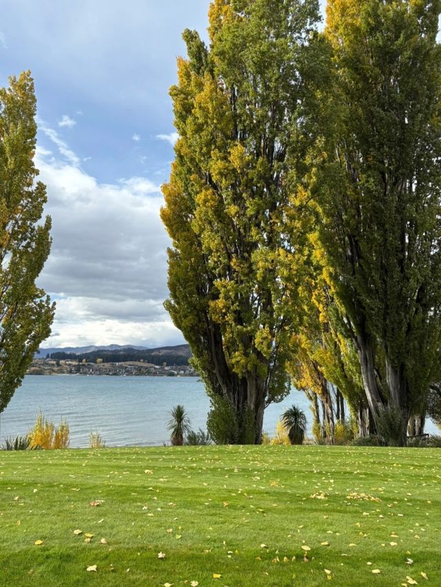 瓦納卡湖畔野奢酒店!Edgewater美到窒息! 瓦納卡湖畔野奢酒店!Edgewater美到窒息!