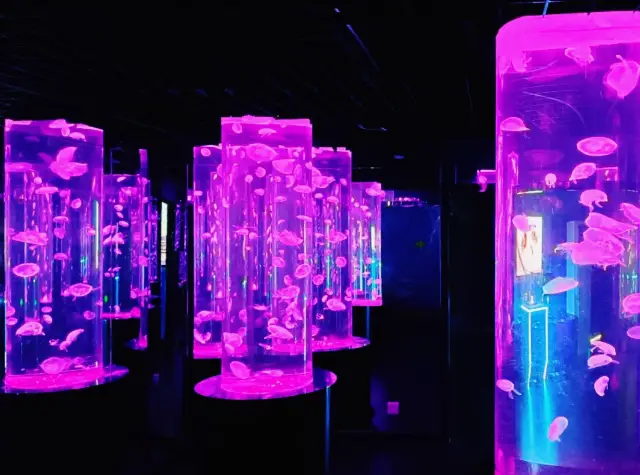 Exploring Manila Ocean Park: A Marine Adventure Guide