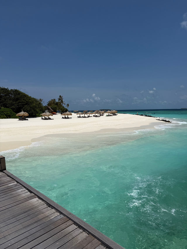 Unforgettable Honeymoon Experience at the Resort