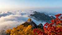 秋色潑墨山河卷，斑斕的河南等你來｜5處封神賞秋地