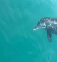 Fantastic Birthday Celebration on Neptune Cruise