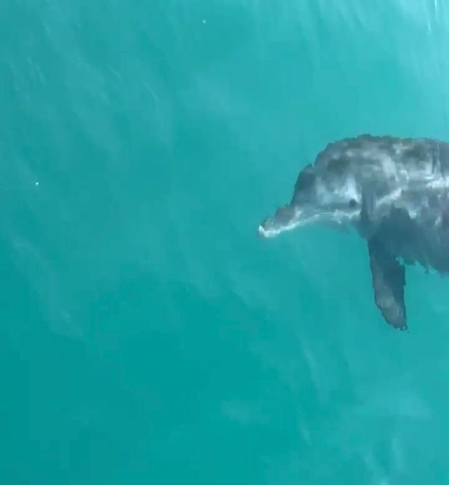 Fantastic Birthday Celebration on Neptune Cruise