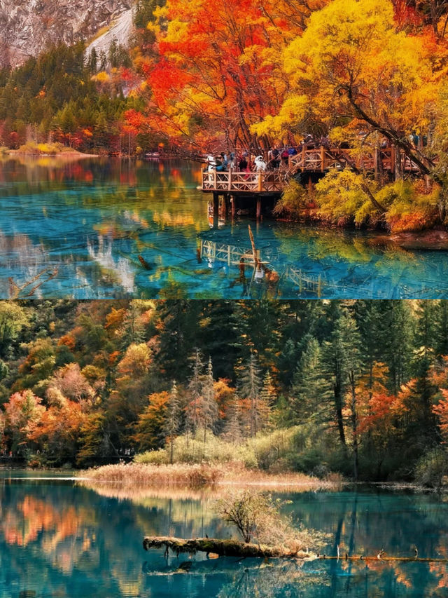 秋天的九寨溝不愧是5A景區的天花板！