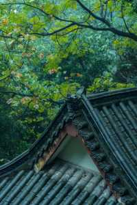 重慶｜石門公園的「新中式」雨天美學