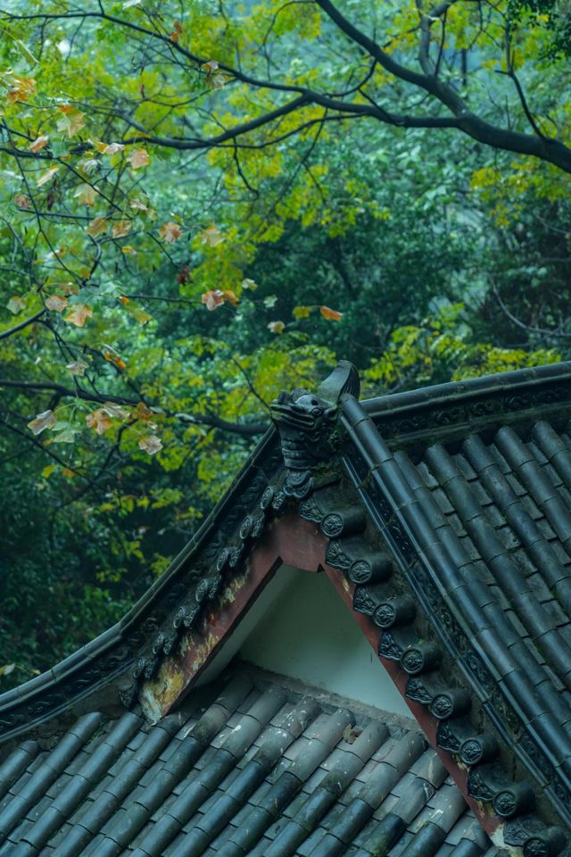 重慶｜石門公園的「新中式」雨天美學
