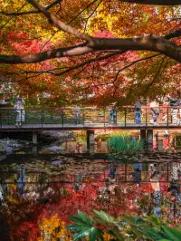 還有1個月｜魔都市區的調色盤公園即將上線