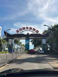 深圳野生動物園七大遊樂項目免費玩