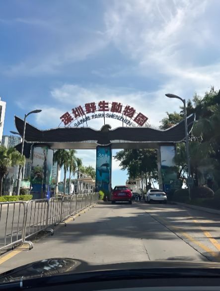 深圳野生動物園七大遊樂項目免費玩
