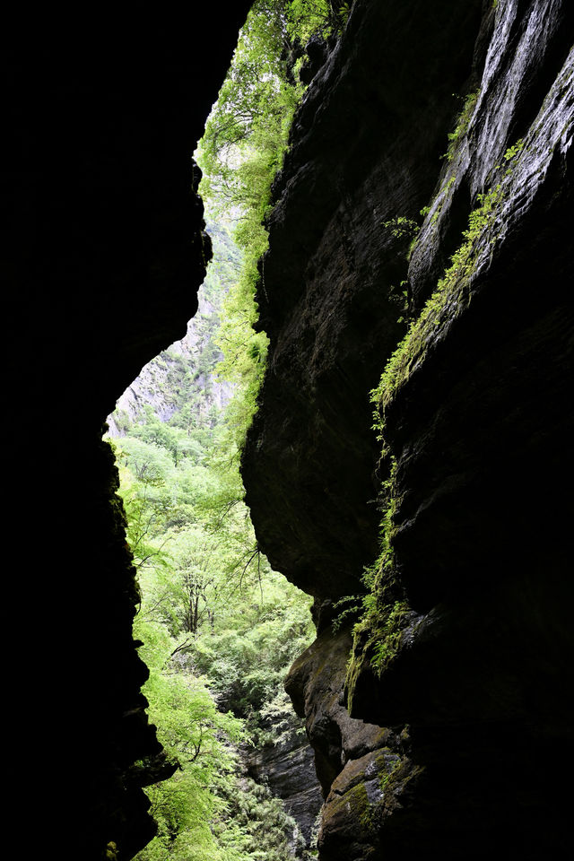 官鵝溝 | 藏在綠野仙蹤裡的瀑布群