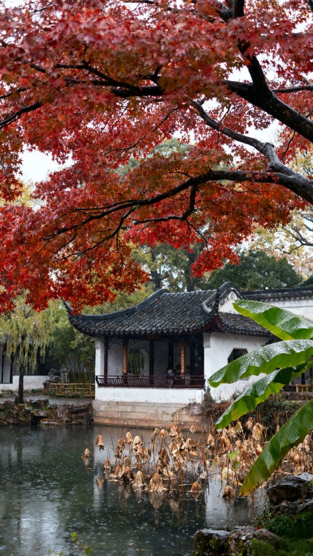 秋季江蘇·蘇南3天2晚經濟型遊 秋季江蘇·蘇南3天2晚經濟型遊