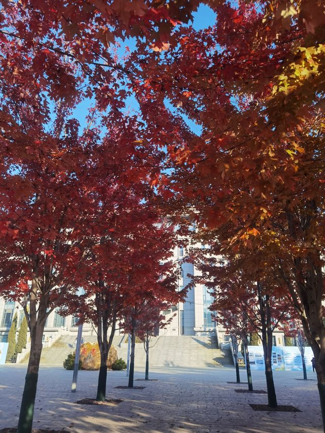 紅葉晚蕭蕭 紅葉晚蕭蕭