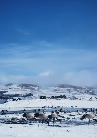 Zhaotong Dashanbao Snow Scenery Now Available