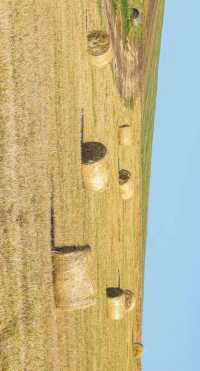 最美秋色——大興安嶺