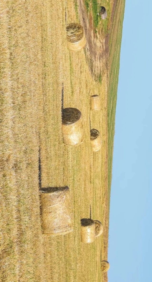 最美秋色——大興安嶺