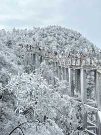 這裡不是阿凡達，是地球上的張家界！