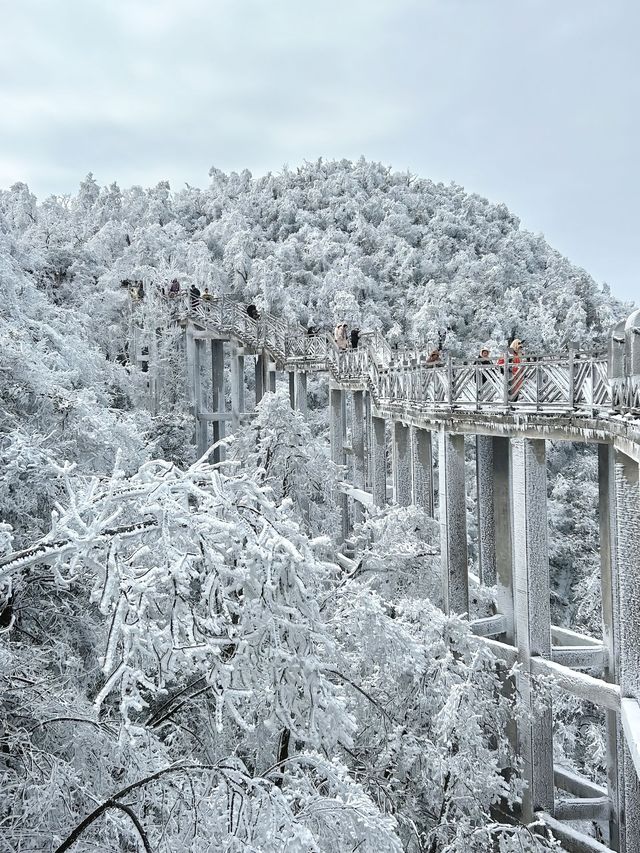 這裡不是阿凡達，是地球上的張家界！
