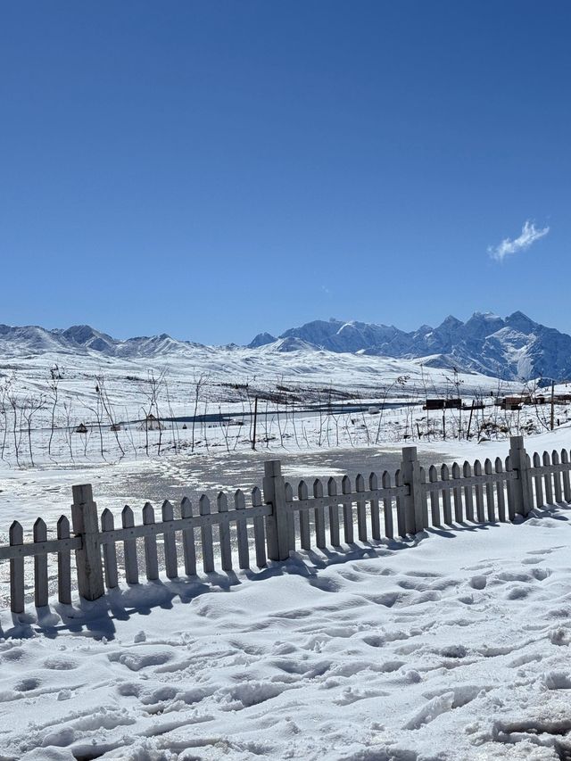 雪山之下，彩林環繞，這裡的秋天美到讓人忘詞！