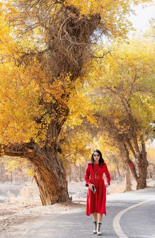 One-click lock on autumn! Shaya 139 Populus Euphratica Road to Glory