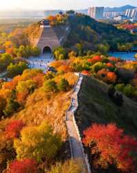 打卡唐風秋韻|邂逅城市邊的詩意與溫柔|收穫滿滿的治癒與快樂