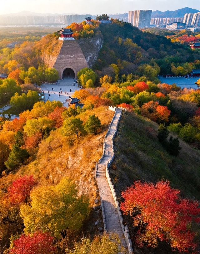 打卡唐風秋韻|邂逅城市邊的詩意與溫柔|收穫滿滿的治癒與快樂