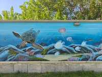 超chill的煙台躺平攻略這家海景酒店真的讓我實現了"面朝大海，春暖花開"的夢想！  這次在煙台