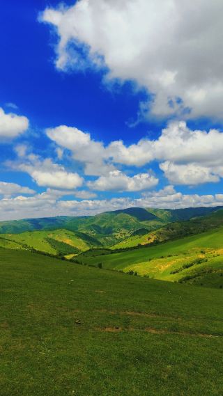 천수 장가천 평안초원: 마음과 자연이 완벽하게 만나는 순간