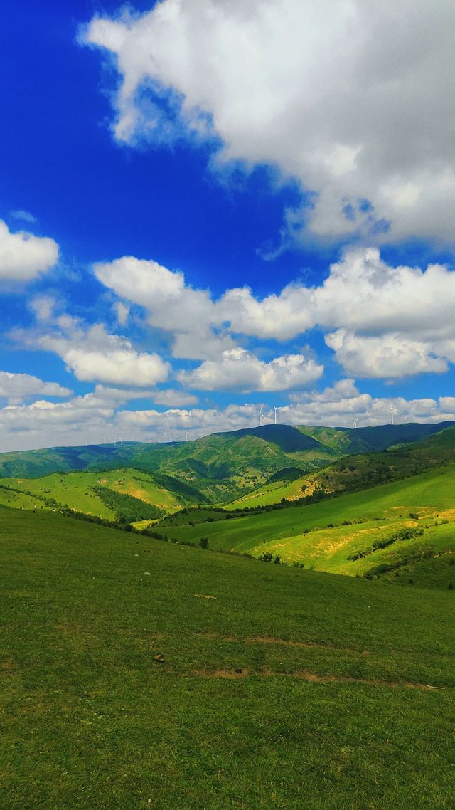 天水張家川平安草園：一場心靈與自然的完美邂逅