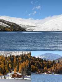 在川西拍到了……