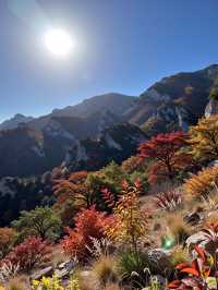 別再擠香山啦！私藏0元秘境，北京紅葉天花板！