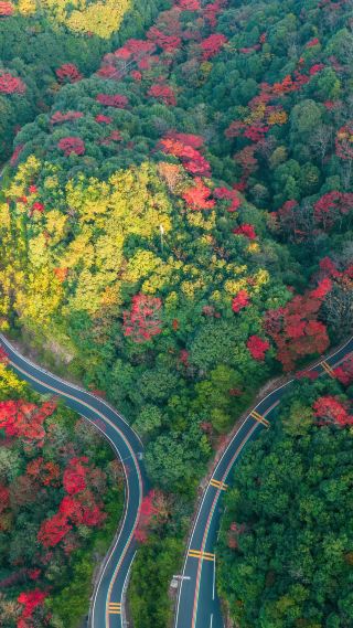 Sanbai Mountain is the perfect place to enjoy the autumn foliage