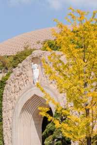 牛首山秋季限定「金」景，已閃亮登場！