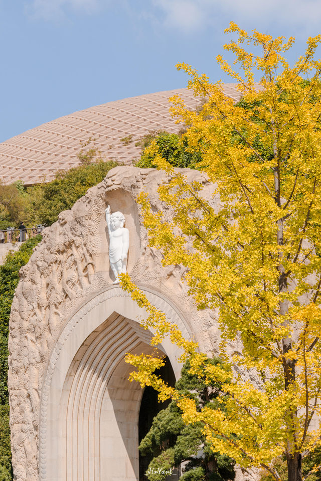 牛首山秋季限定「金」景，已閃亮登場！