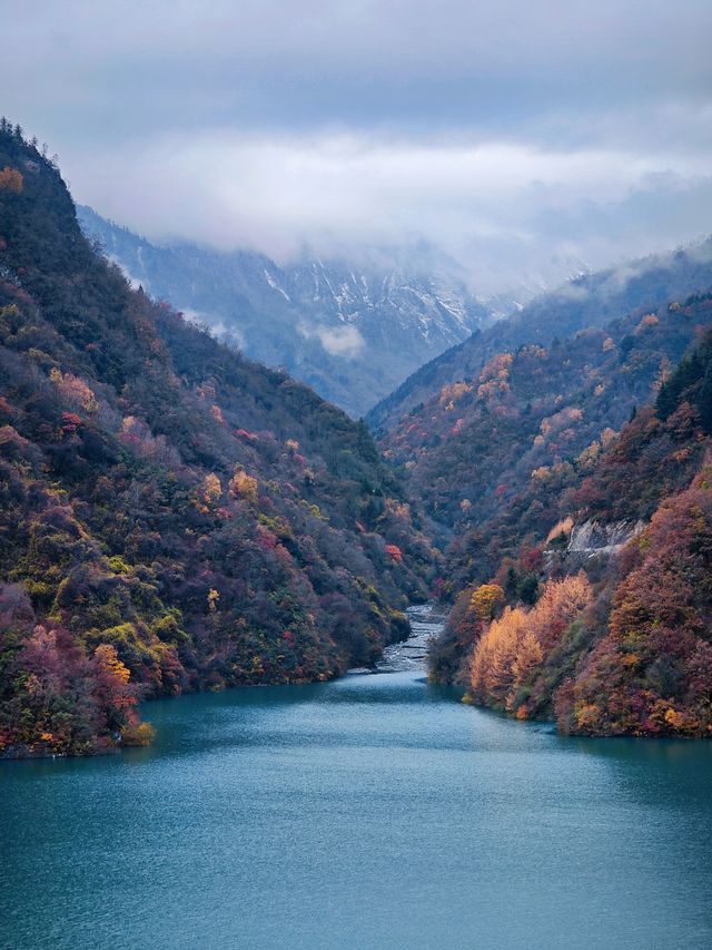 第四次往返平武，我推薦這個遊玩路線