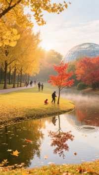 上海郊區紅葉地圖發布