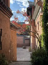 淡季來逛西昌真嘟很舒服