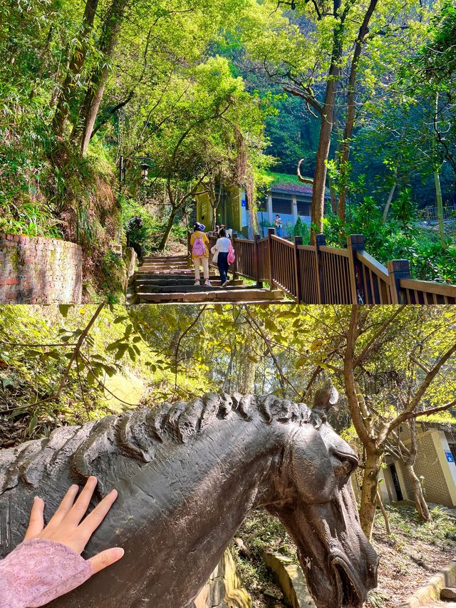 重慶秋冬citywalk天花板黃葛古道全下坡攻略！