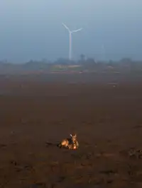 鹽城丨朋友都以為我去了肯尼亞