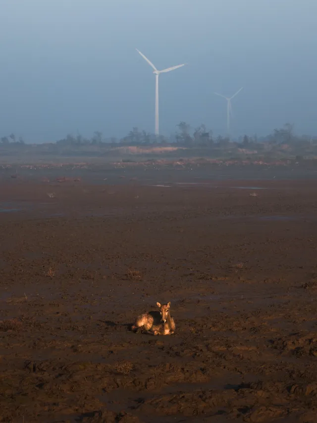 鹽城丨朋友都以為我去了肯尼亞 鹽城丨朋友都以為我去了肯尼亞