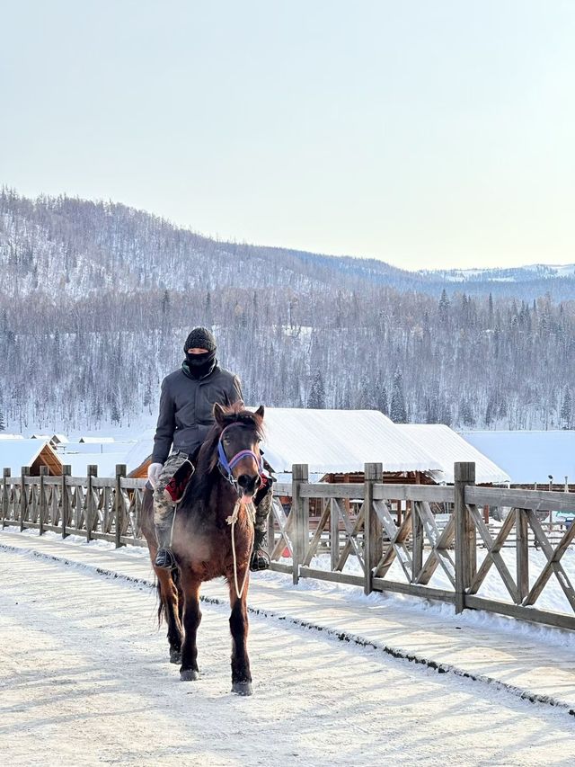 自駕新疆｜凜冬之際，與喀納斯的一場邂逅～