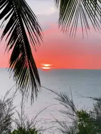 奔赴三亞只為18張圖｜這波海島值哭了