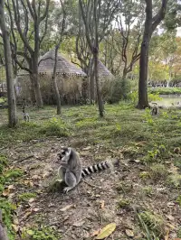謝謝上野送的生日禮物~今天的快樂是免費哒