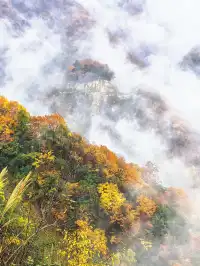 2025年11月2日到11月6日的光霧山與西安之旅