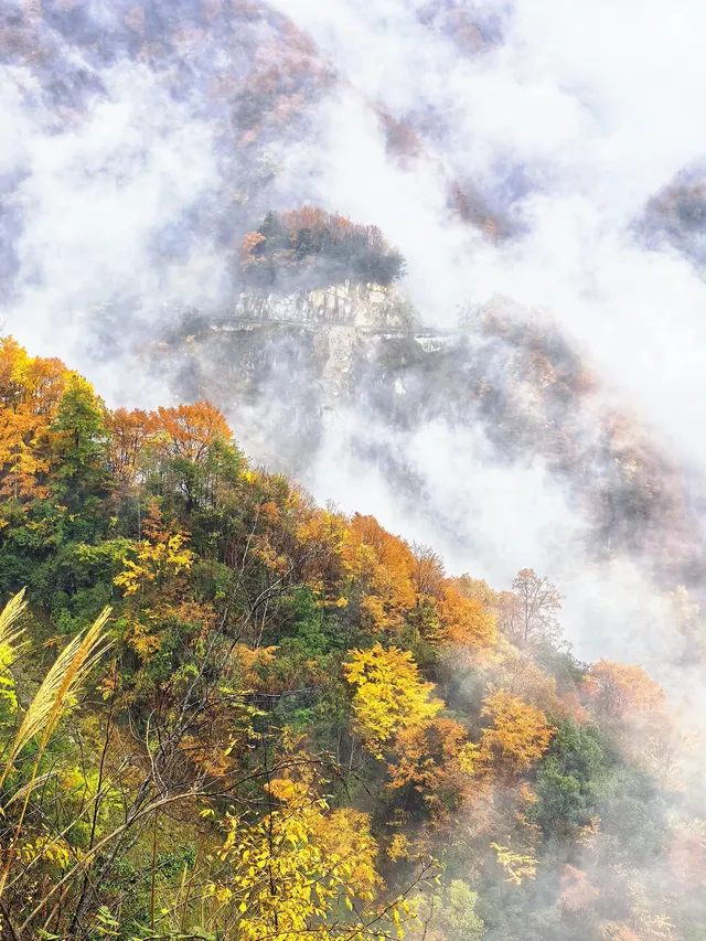 2025年11月2日到11月6日的光霧山與西安之旅