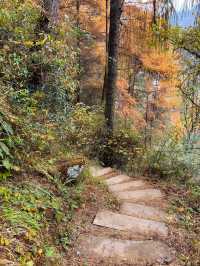 成都2小時直達！免費秘境松林灣，遛娃不費力